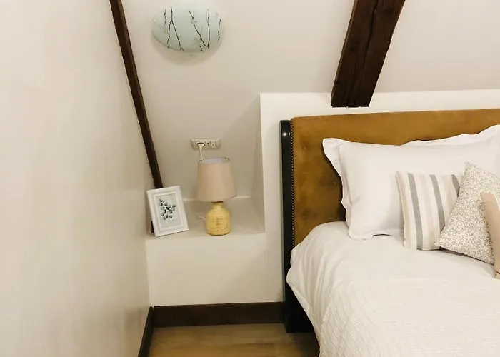 Muresenilor 15b 아파트 브라쇼브