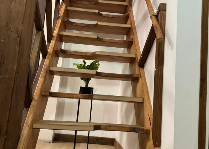 Muresenilor 15b * 브라쇼브